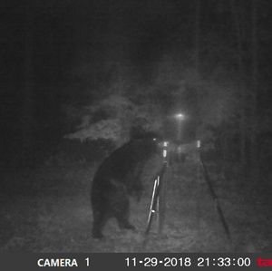 Meet your Posher, Dewayne